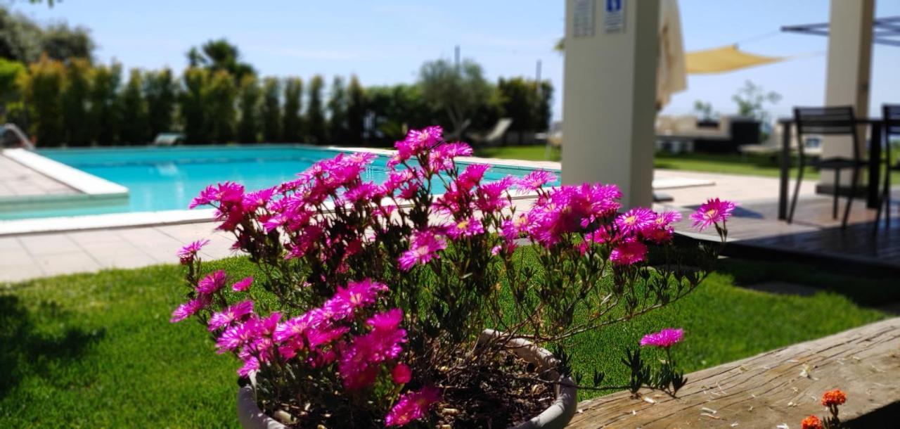 زافيرانا إتنيا Etna Bike Holiday المظهر الخارجي الصورة