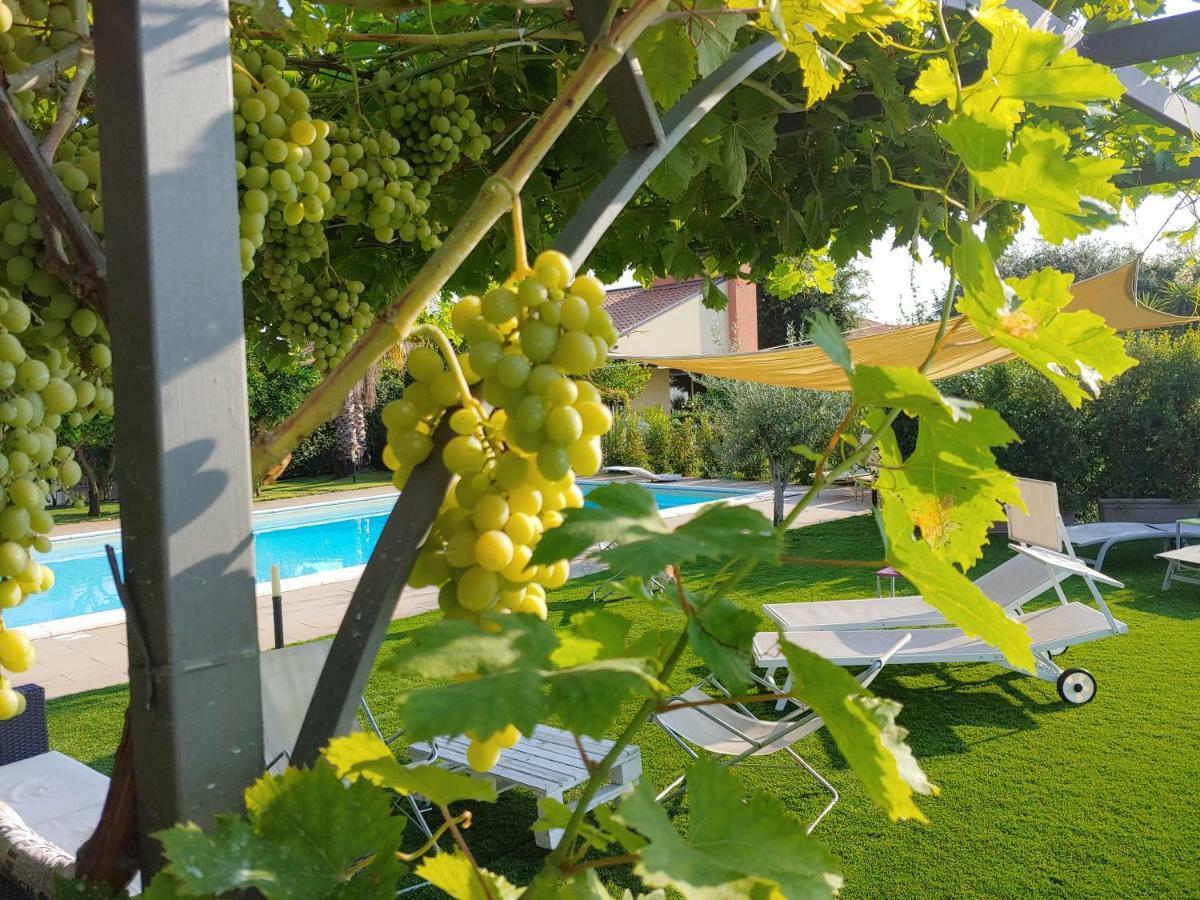 زافيرانا إتنيا Etna Bike Holiday المظهر الخارجي الصورة